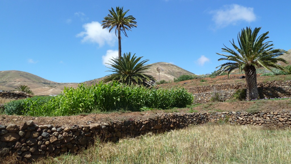 Fuerteventura 2011- Betancuria 6