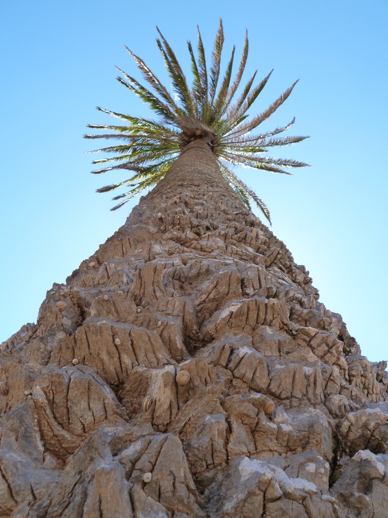 Fuerteventura 2011- Betancuria 8