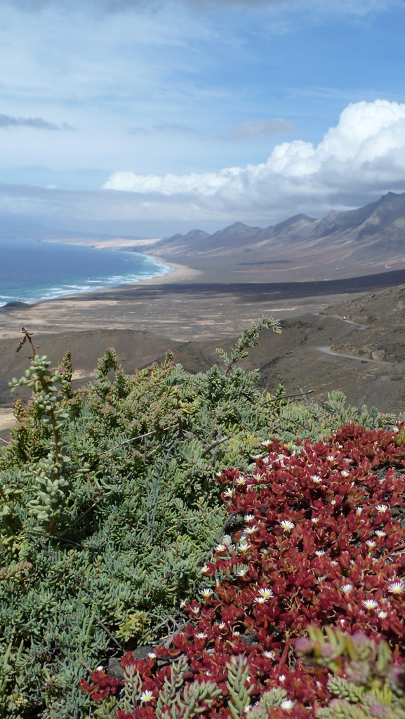 Fuerteventura 2011- Cofete 2