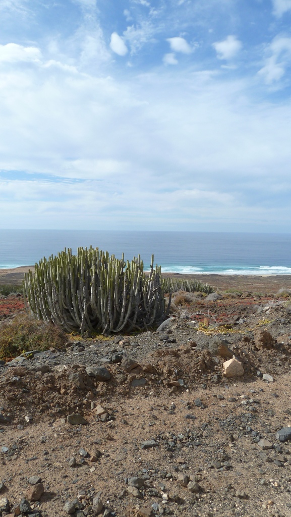 Fuerteventura 2011- Cofete 5