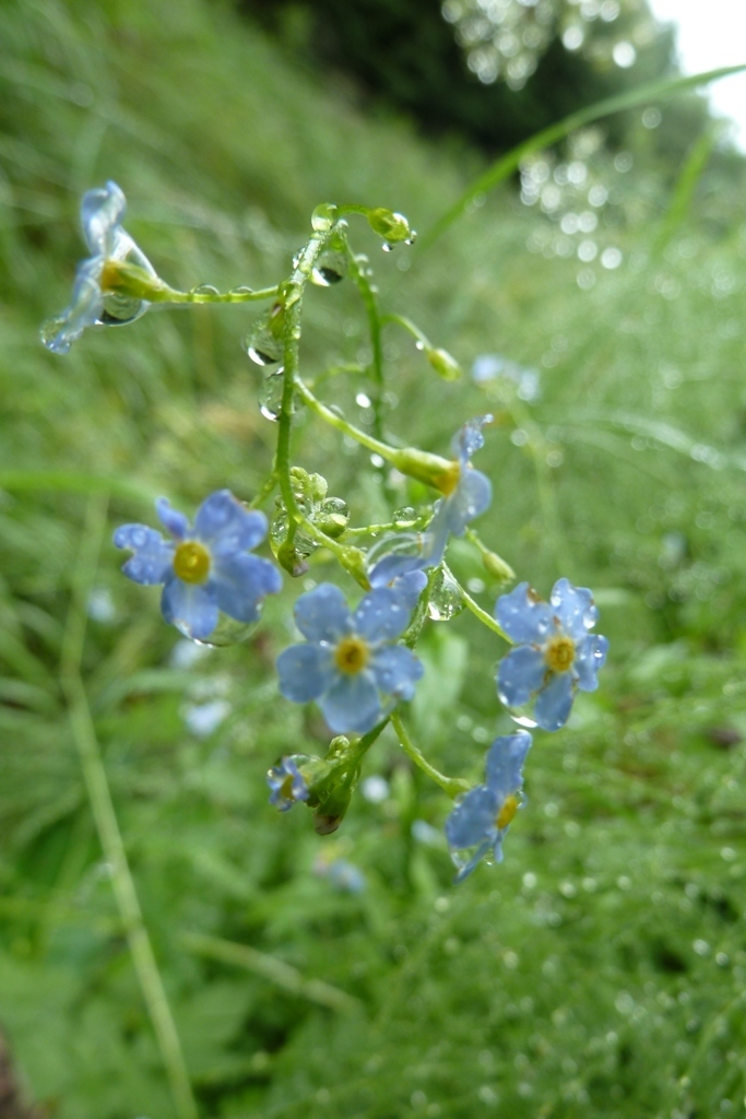 P1000339