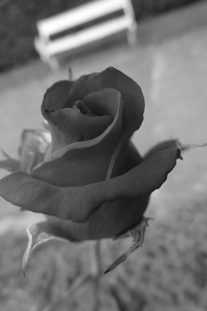 P1000863