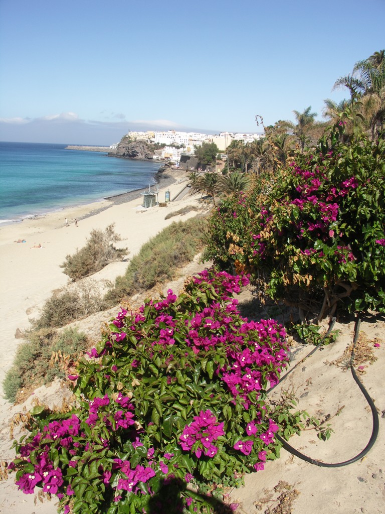 Fuerteventura-krajina 2