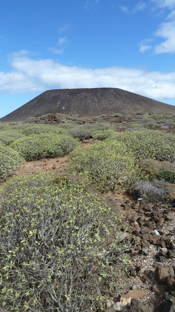 Fuerteventura 2011 - Lobos 1