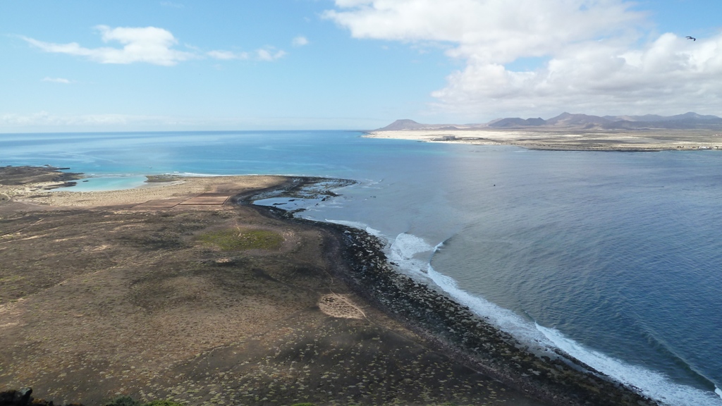 Fuerteventura 2011 - Lobos 2
