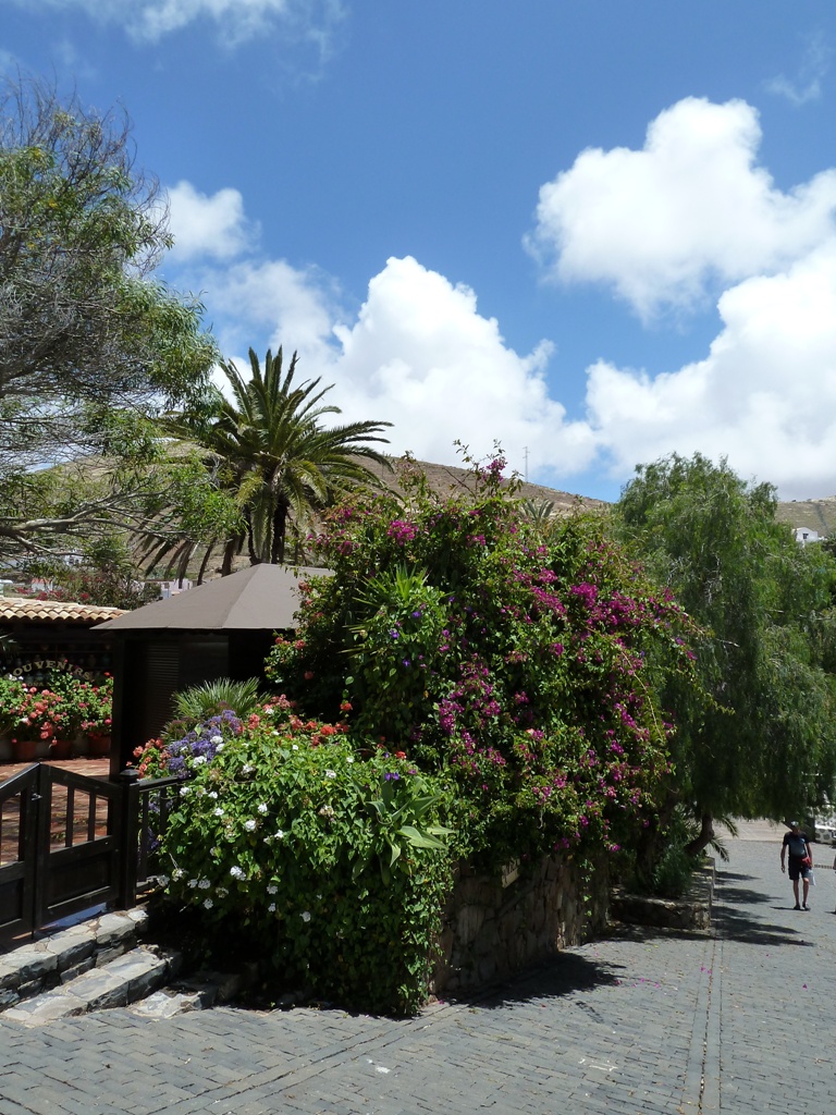 Fuerteventura 2011- Betancuria 1